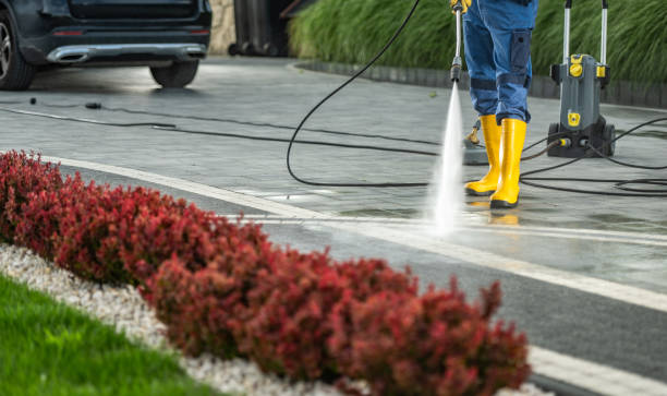 Best Solar Panel Cleaning  in Lindsay, CA